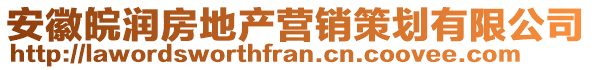 安徽皖潤(rùn)房地產(chǎn)營(yíng)銷策劃有限公司