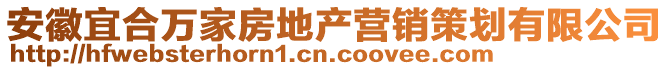 安徽宜合萬(wàn)家房地產(chǎn)營(yíng)銷策劃有限公司