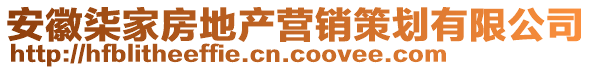 安徽柒家房地產(chǎn)營銷策劃有限公司