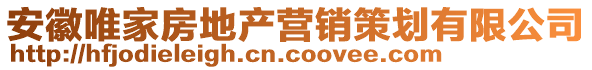 安徽唯家房地產(chǎn)營銷策劃有限公司