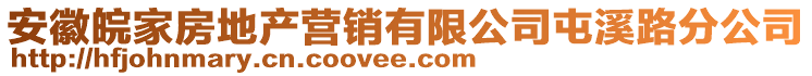 安徽皖家房地產(chǎn)營銷有限公司屯溪路分公司