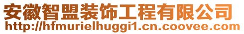 安徽智盟裝飾工程有限公司