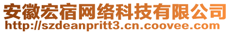 安徽宏宿網(wǎng)絡(luò)科技有限公司