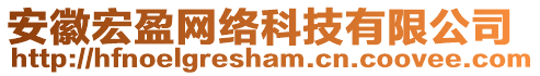 安徽宏盈網(wǎng)絡(luò)科技有限公司