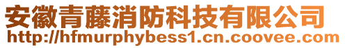 安徽青藤消防科技有限公司