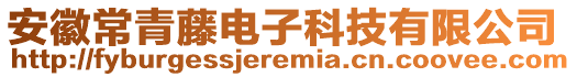 安徽常青藤电子科技有限公司