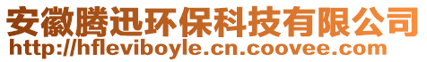 安徽騰迅環(huán)保科技有限公司