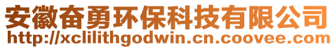 安徽奮勇環(huán)保科技有限公司