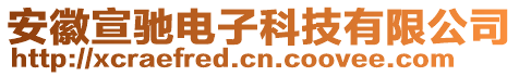 安徽宣驰电子科技有限公司