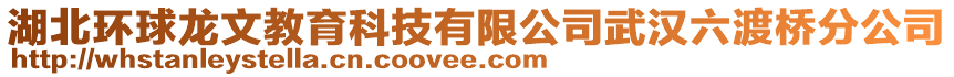 湖北环球龙文教育科技有限公司武汉六渡桥分公司