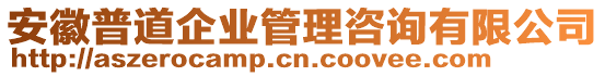 安徽普道企業(yè)管理咨詢有限公司