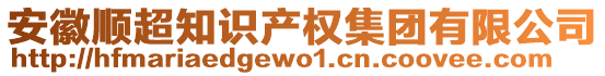 安徽順超知識產權集團有限公司