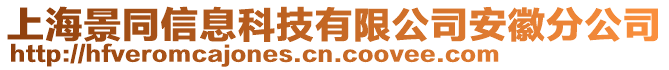 上海景同信息科技有限公司安徽分公司