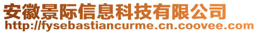 安徽景際信息科技有限公司