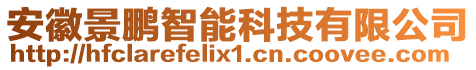 安徽景鵬智能科技有限公司