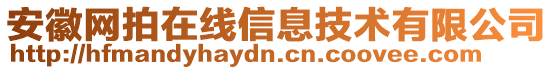 安徽網(wǎng)拍在線信息技術(shù)有限公司