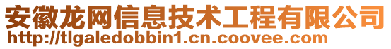 安徽龙网信息技术工程有限公司