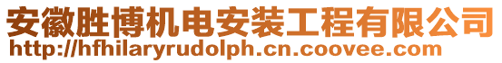 安徽勝博機電安裝工程有限公司