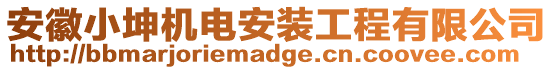 安徽小坤機(jī)電安裝工程有限公司