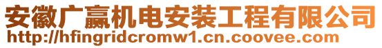 安徽廣贏機電安裝工程有限公司