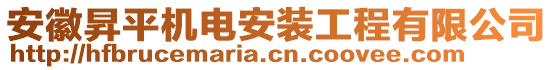 安徽昇平機電安裝工程有限公司