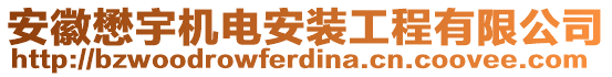 安徽懋宇機(jī)電安裝工程有限公司