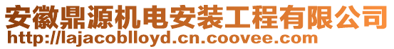 安徽鼎源機電安裝工程有限公司