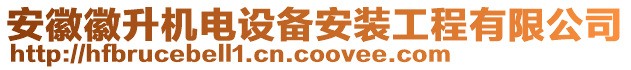 安徽徽升機電設(shè)備安裝工程有限公司