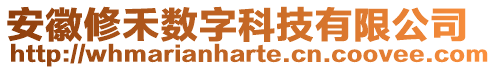 安徽修禾數字科技有限公司