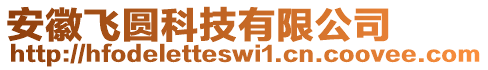 安徽飛圓科技有限公司