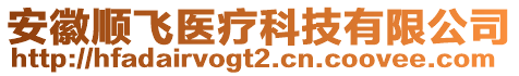 安徽順飛醫(yī)療科技有限公司