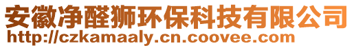 安徽凈醛獅環(huán)保科技有限公司