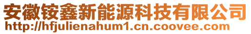 安徽銨鑫新能源科技有限公司