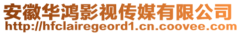 安徽華鴻影視傳媒有限公司