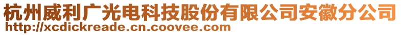 杭州威利廣光電科技股份有限公司安徽分公司