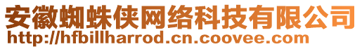 安徽蜘蛛俠網(wǎng)絡(luò)科技有限公司