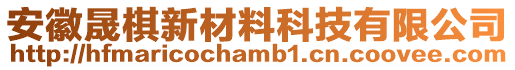 安徽晟棋新材料科技有限公司