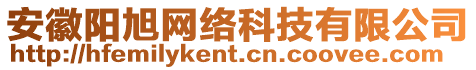 安徽陽旭網(wǎng)絡(luò)科技有限公司