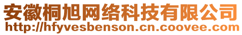 安徽桐旭網(wǎng)絡(luò)科技有限公司