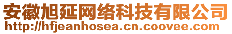 安徽旭延網(wǎng)絡(luò)科技有限公司