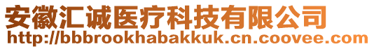 安徽匯誠(chéng)醫(yī)療科技有限公司