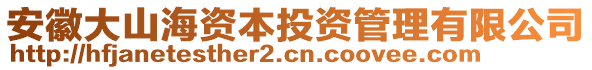 安徽大山海資本投資管理有限公司