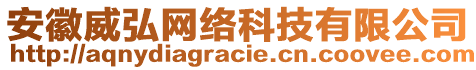 安徽威弘網(wǎng)絡(luò)科技有限公司