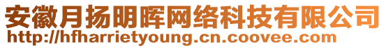 安徽月?lián)P明暉網(wǎng)絡(luò)科技有限公司