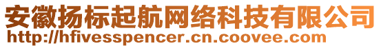 安徽揚(yáng)標(biāo)起航網(wǎng)絡(luò)科技有限公司