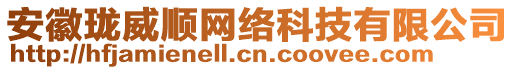 安徽瓏威順網(wǎng)絡(luò)科技有限公司