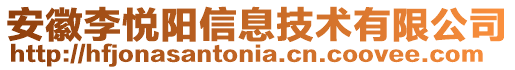 安徽李悅陽信息技術(shù)有限公司