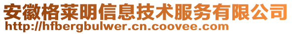 安徽格萊明信息技術(shù)服務(wù)有限公司