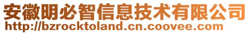 安徽明必智信息技術(shù)有限公司