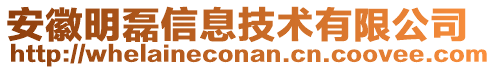 安徽明磊信息技術(shù)有限公司